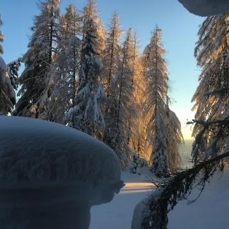 公寓 Almhuette - Skihuette Am Goldeck In Kaernten *