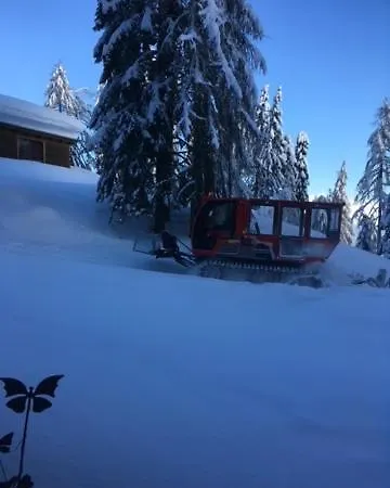 Almhuette - Skihuette Am Goldeck In Kaernten Apartment Baldramsdorf