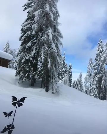 Almhuette - Skihuette Am Goldeck In Kaernten