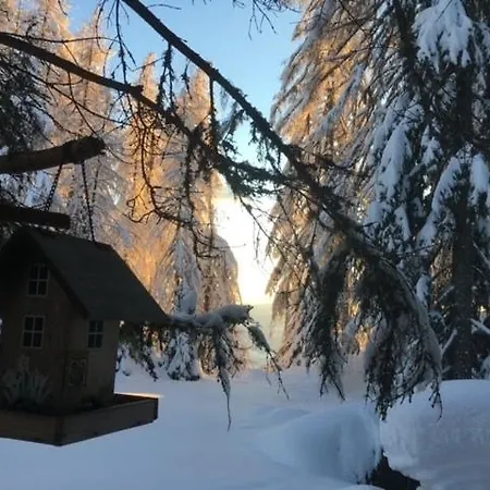 Almhuette - Skihuette Am Goldeck In Kaernten 公寓 *